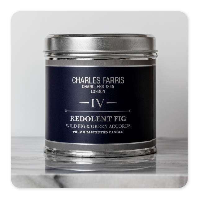Charles Farris Candle - IV